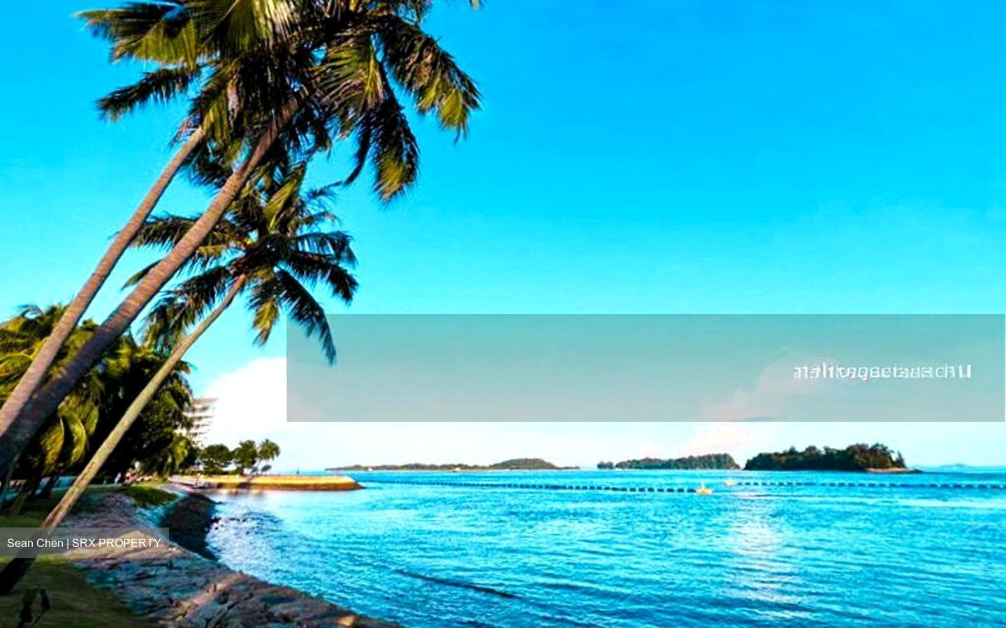 Ocean Drive (D4), Detached #582387711